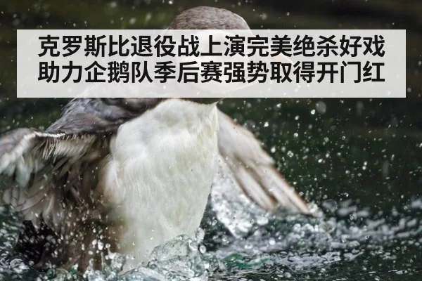 克罗斯比退役战上演完美绝杀好戏 助力企鹅队季后赛强势取得开门红
