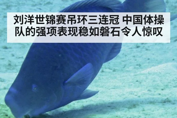 刘洋世锦赛吊环三连冠 中国体操队的强项表现稳如磐石令人惊叹